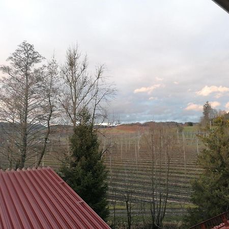 Ferienhof Hopfgaertle Mueller Bodnegg Esterno foto