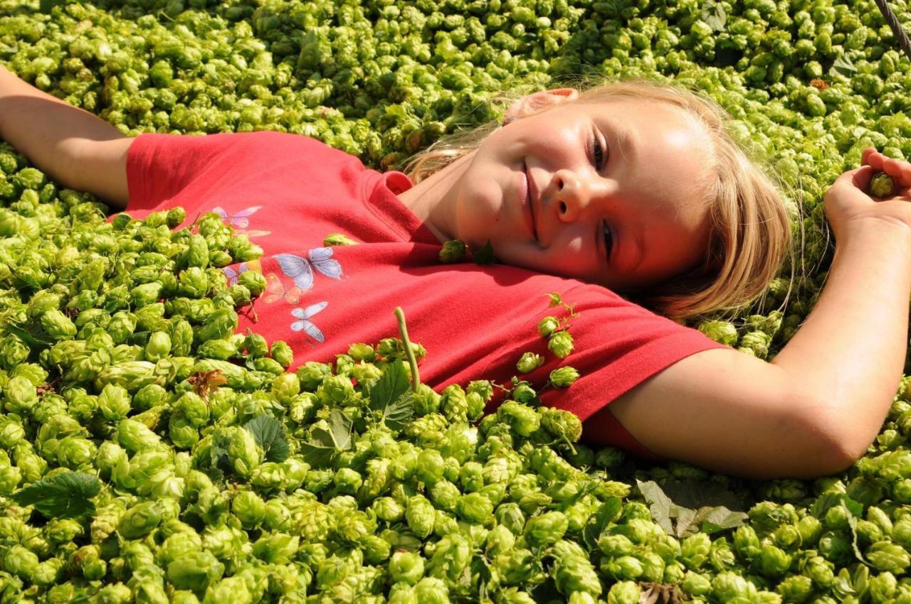 Ferienhof Hopfgaertle Mueller Bodnegg Esterno foto