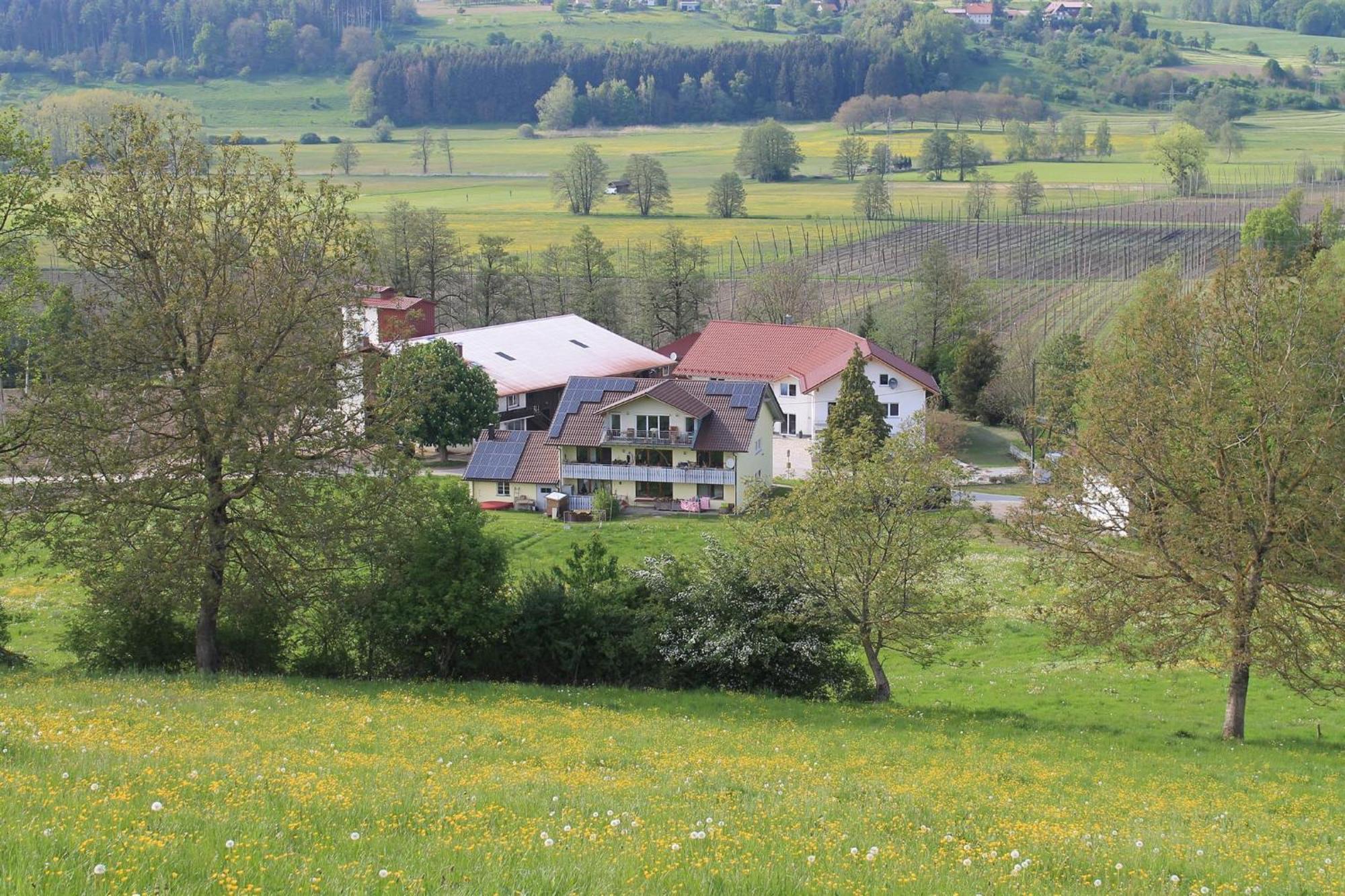 Ferienhof Hopfgaertle Mueller Bodnegg Esterno foto