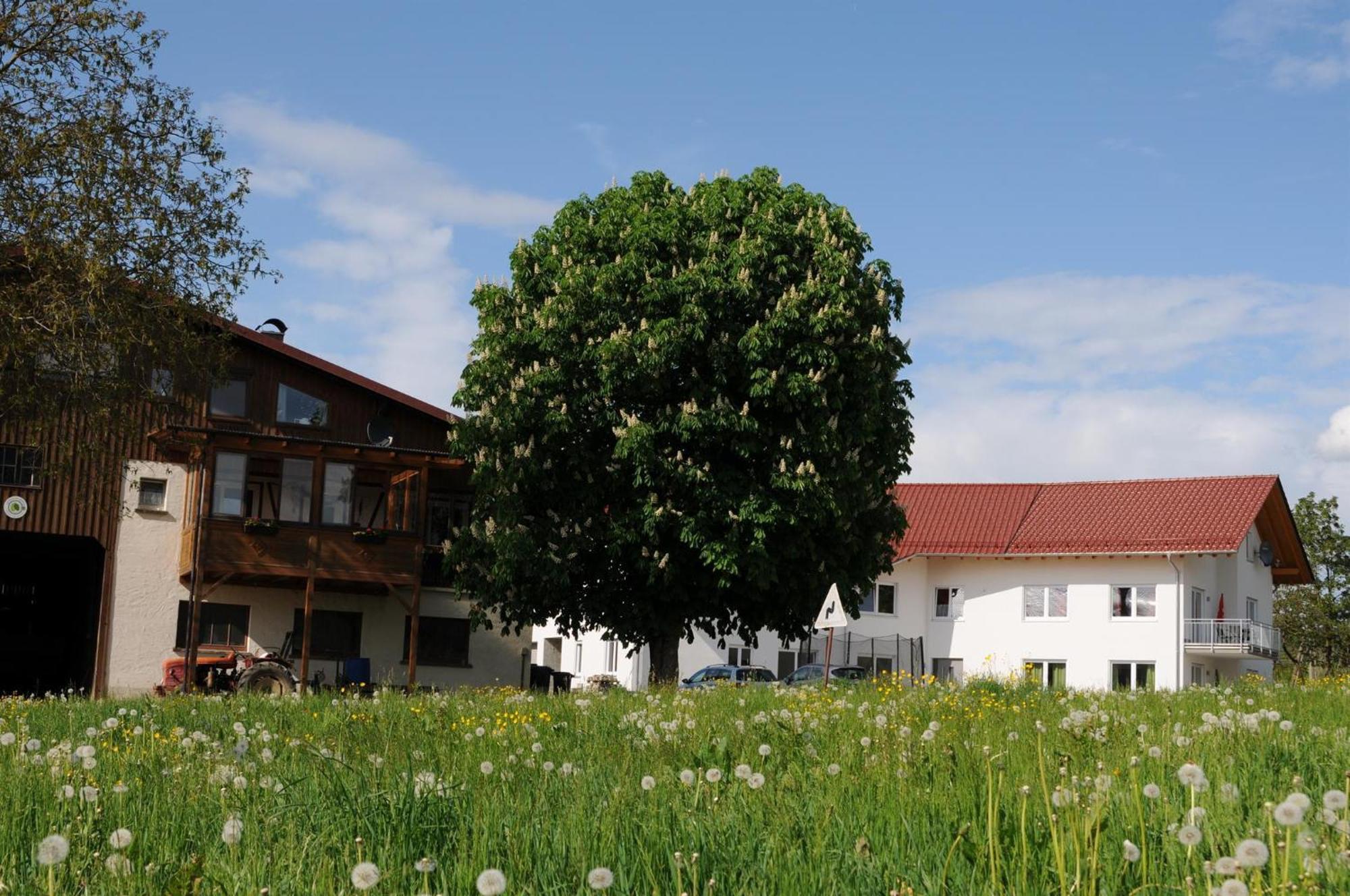 Ferienhof Hopfgaertle Mueller Bodnegg Esterno foto
